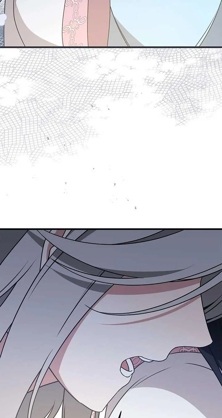 Camellia: Mastering The Three Kingdoms As Alice Chapter 42 page 62 - 