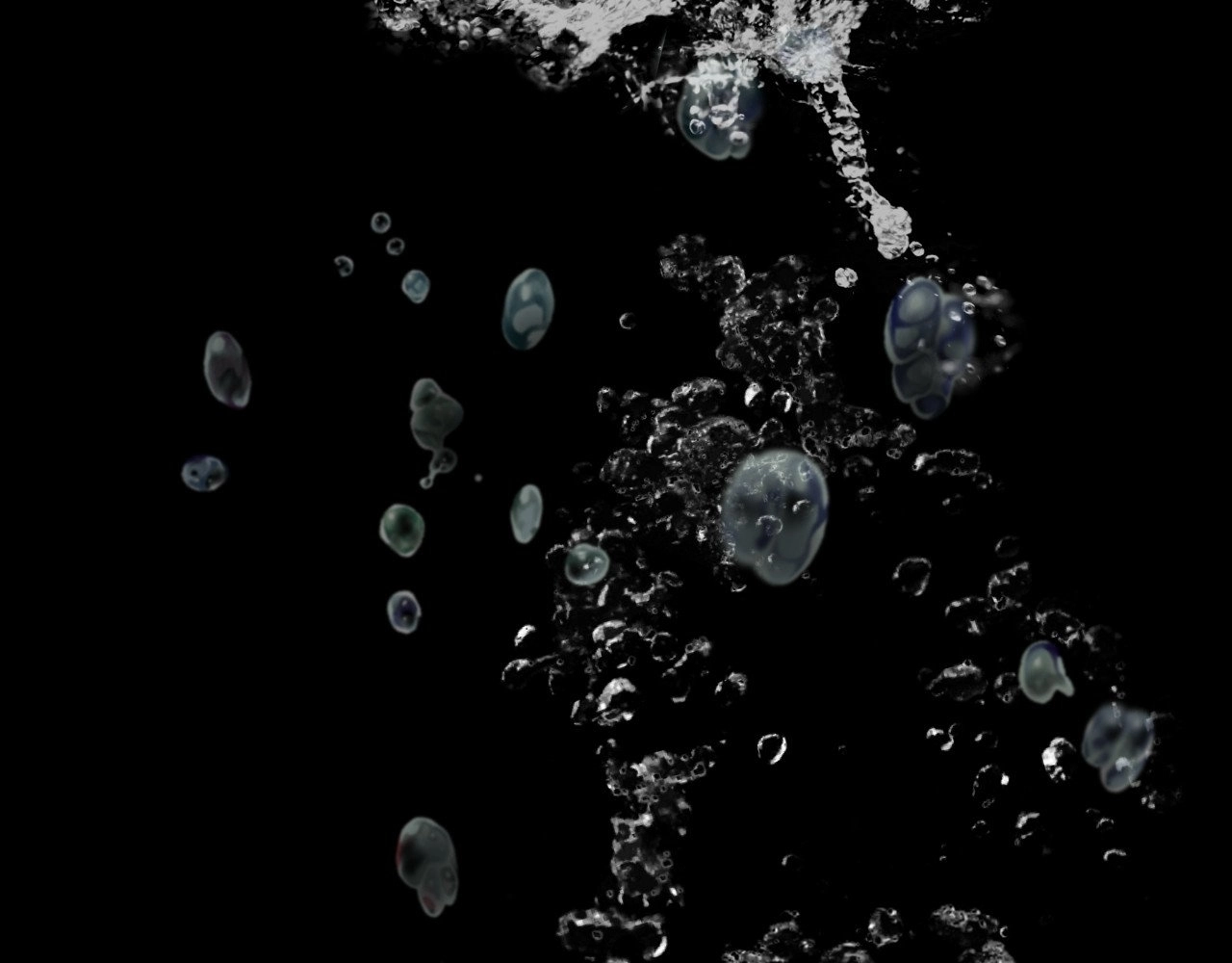 Captivated Women Chapter 12 page 85 - 