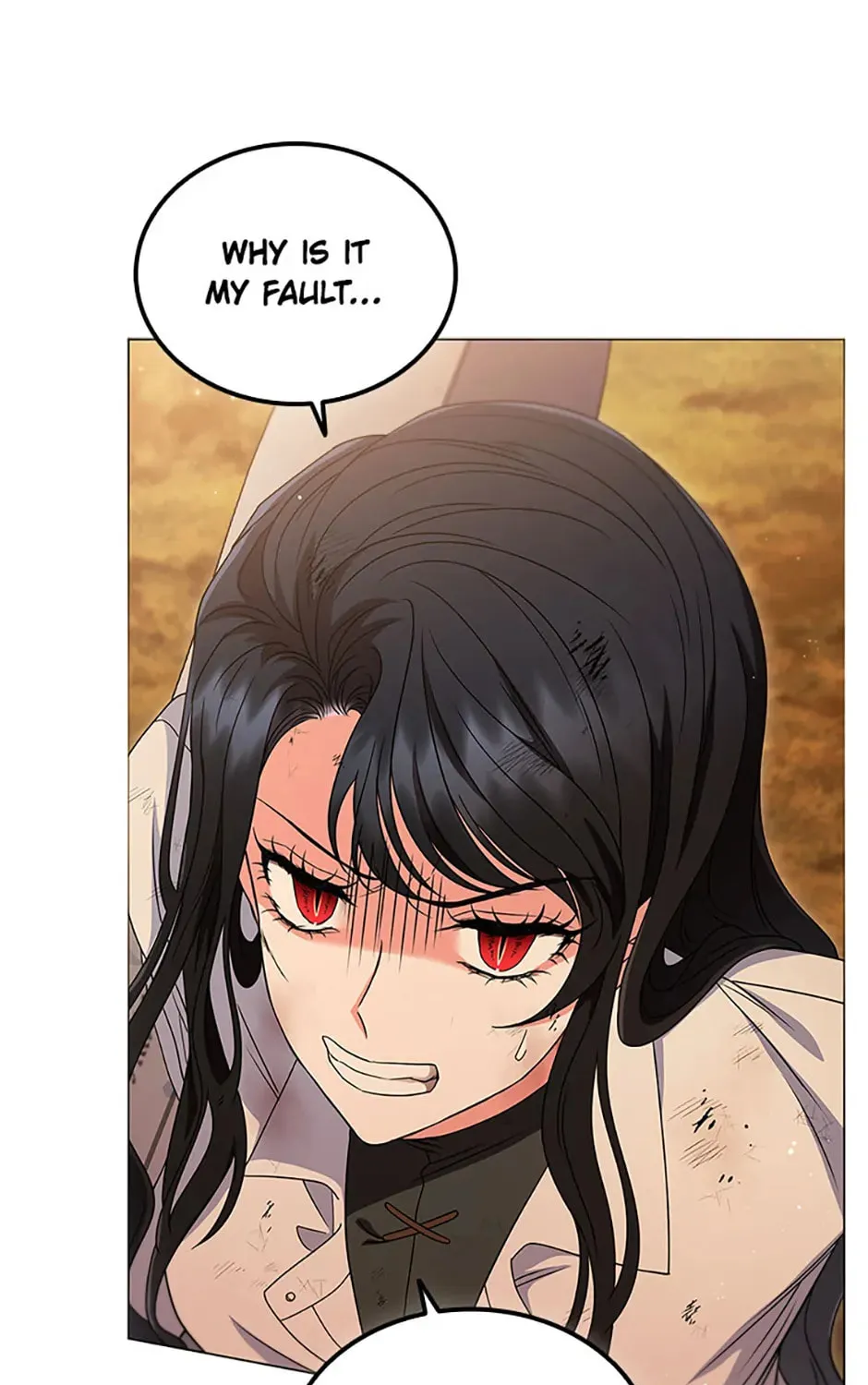 Carnelian: the Sille Dragon Odyssey Chapter 14 page 13 - 