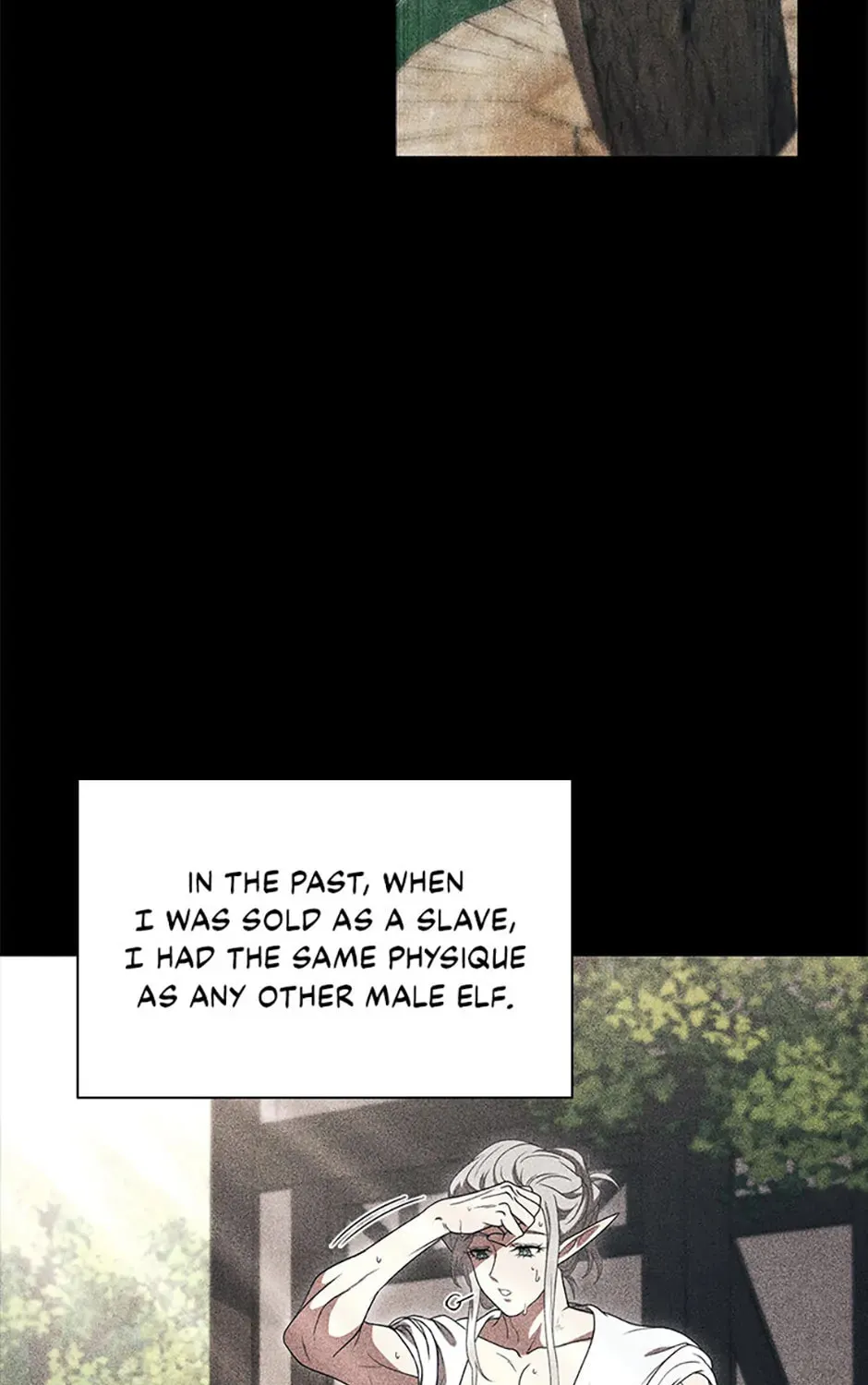 Carnelian: the Sille Dragon Odyssey Chapter 17 page 19 - 