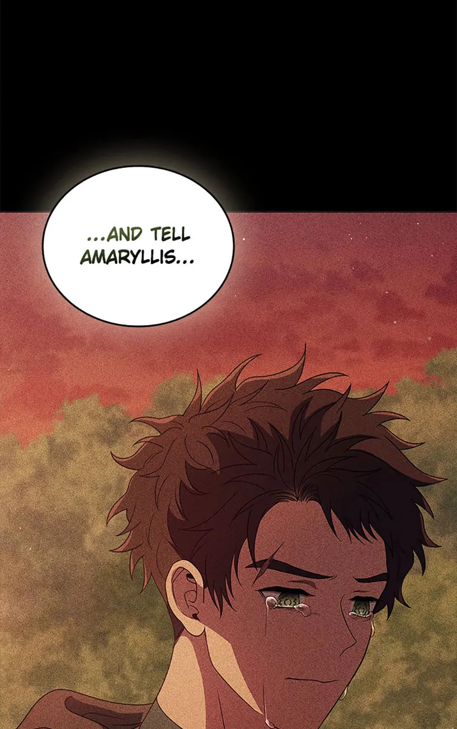 Carnelian: the Sille Dragon Odyssey Chapter 30 page 25 - 