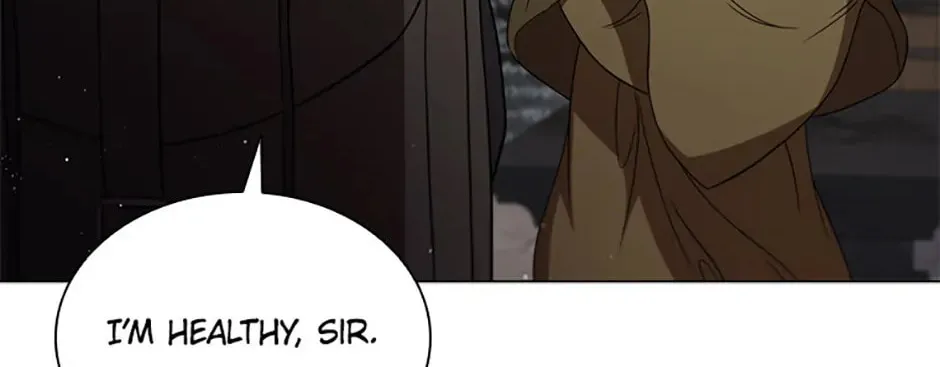 Carnelian: the Sille Dragon Odyssey Chapter 32 page 84 - 