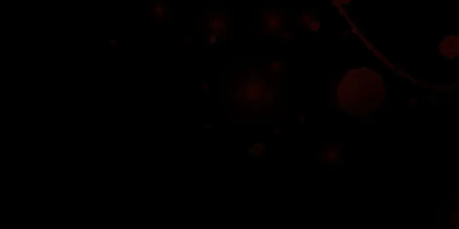 Carnelian: the Sille Dragon Odyssey Chapter 42 page 74 - 
