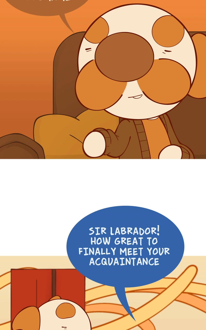 Cat and Dog Chapter 103 page 7 - 