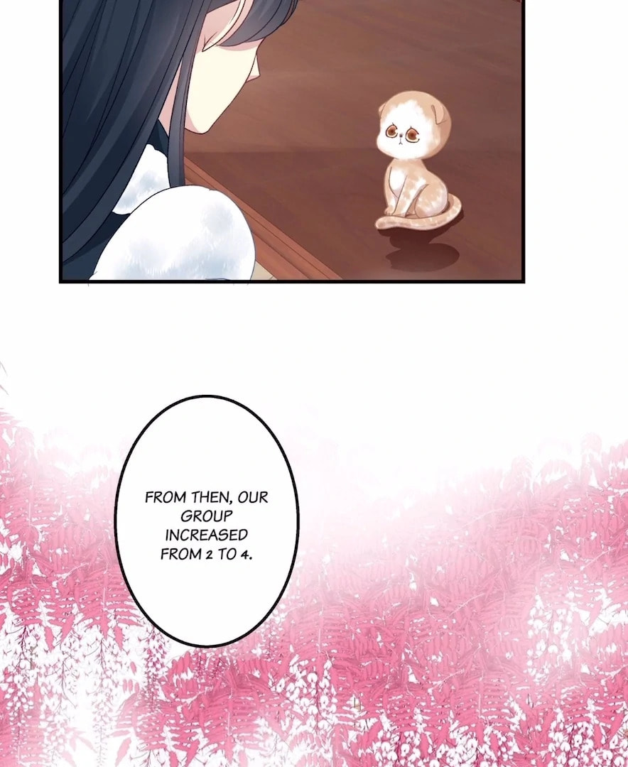 Cat Demon's Seduction (Colored) Chapter 137 page 42 - 