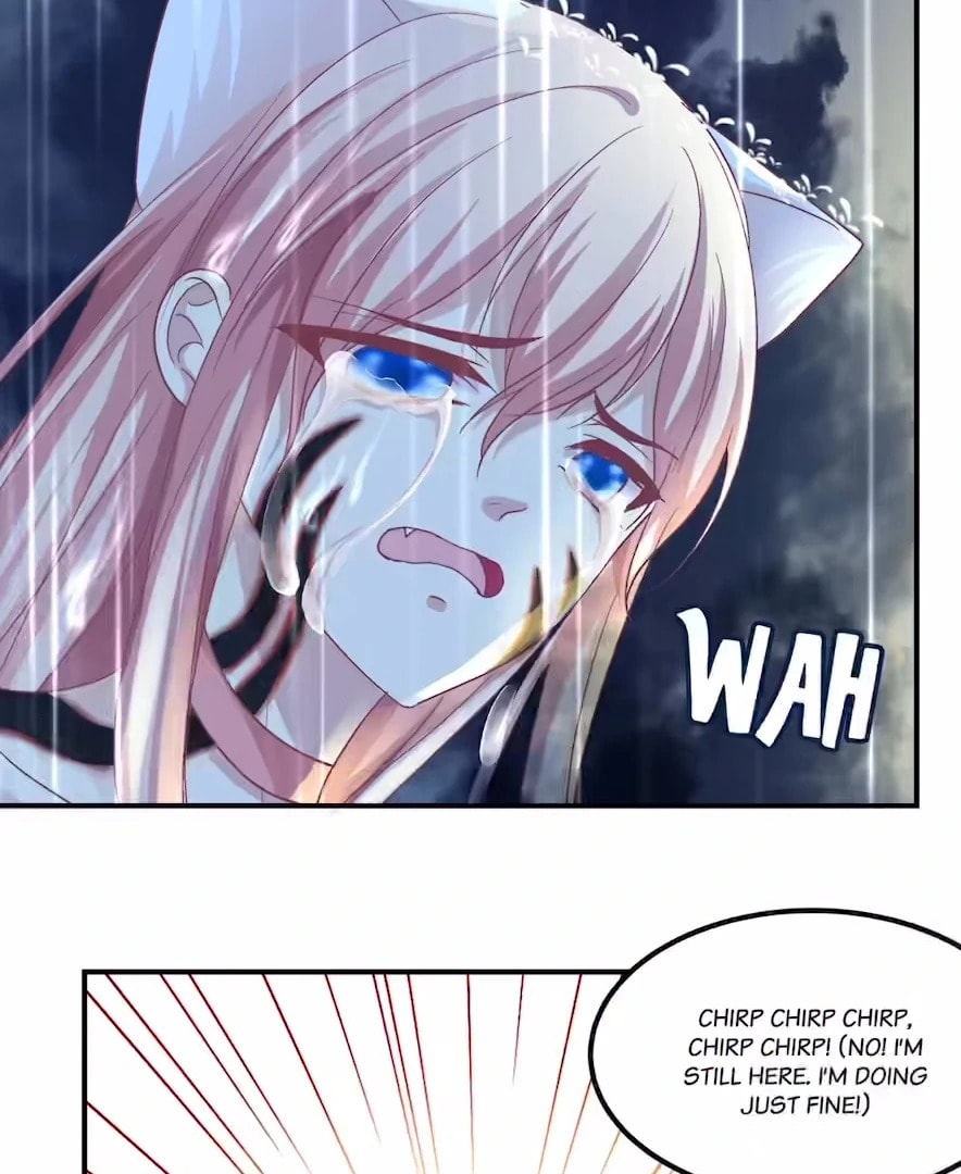 Cat Demon's Seduction (Colored) Chapter 147 page 81 - 