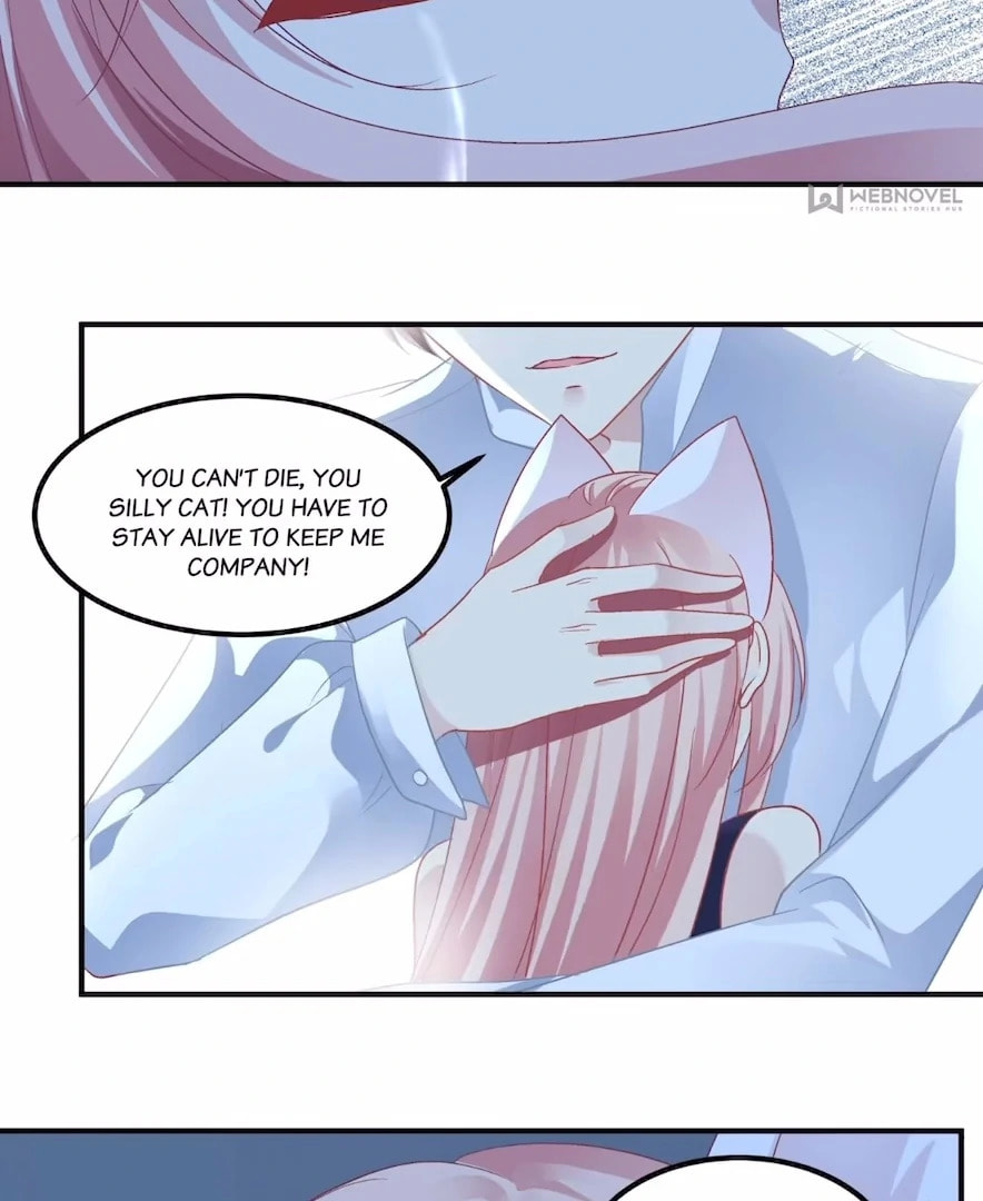 Cat Demon's Seduction (Colored) Chapter 147 page 90 - 