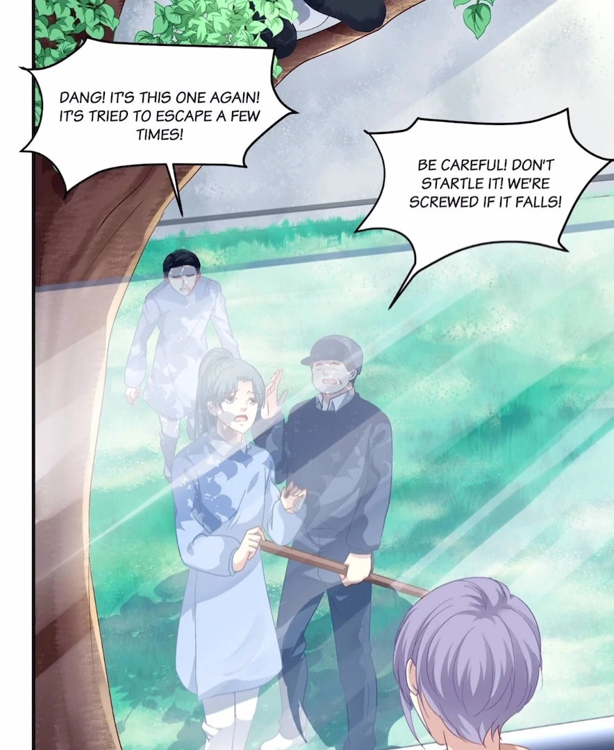 Cat Demon's Seduction (Colored) Chapter 152 page 12 - 