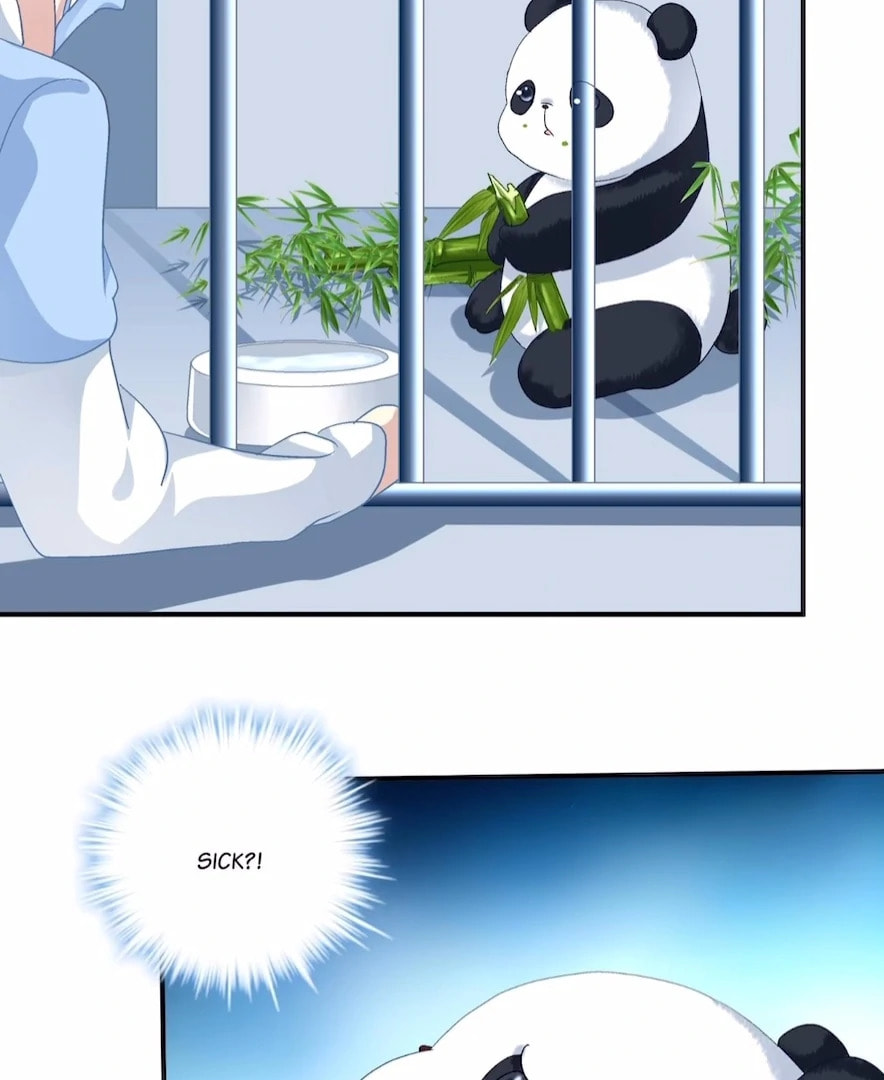 Cat Demon's Seduction (Colored) Chapter 152 page 32 - 
