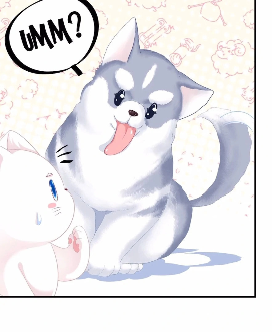 Cat Demon's Seduction (Colored) Chapter 157 page 45 - 