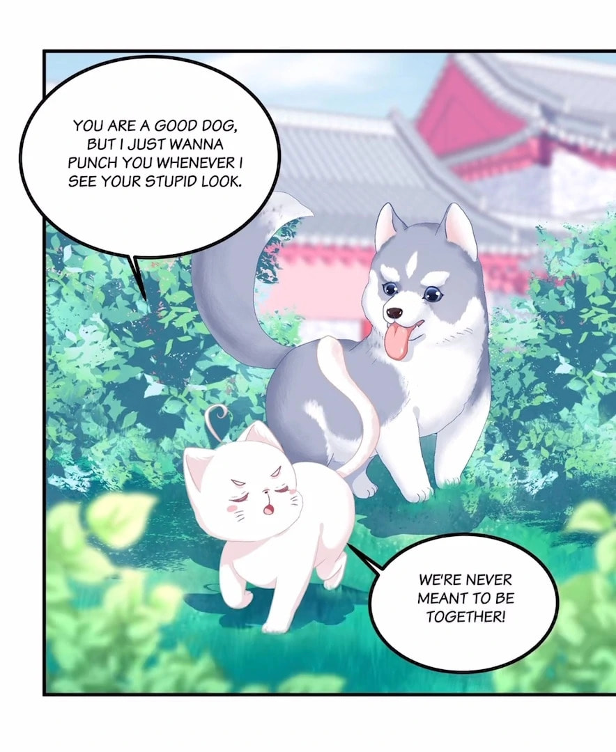Cat Demon's Seduction (Colored) Chapter 157 page 46 - 