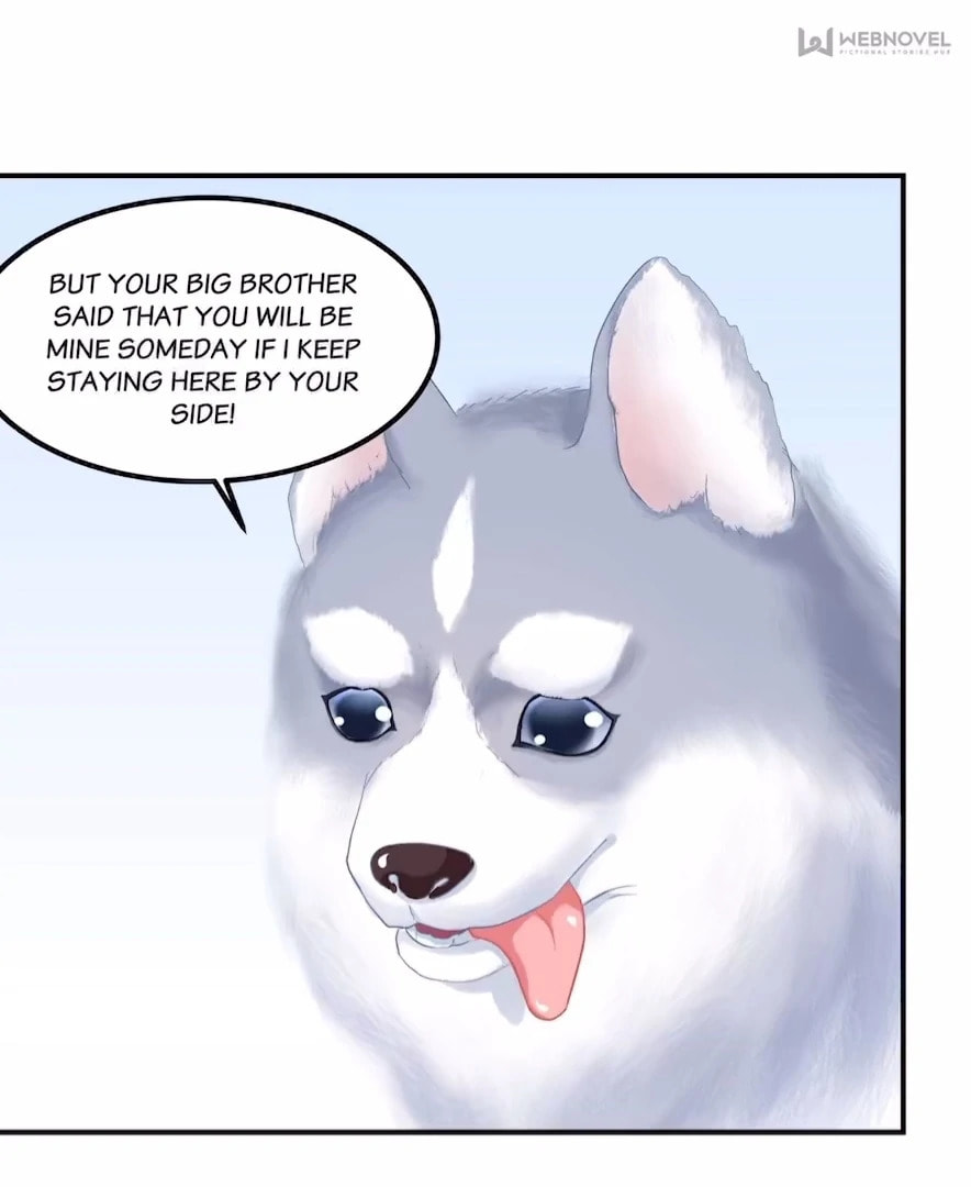 Cat Demon's Seduction (Colored) Chapter 157 page 47 - 