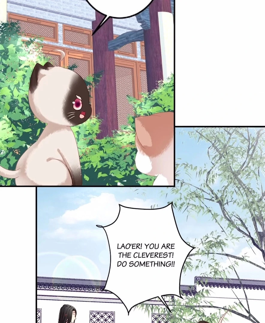 Cat Demon's Seduction (Colored) Chapter 159 page 50 - 