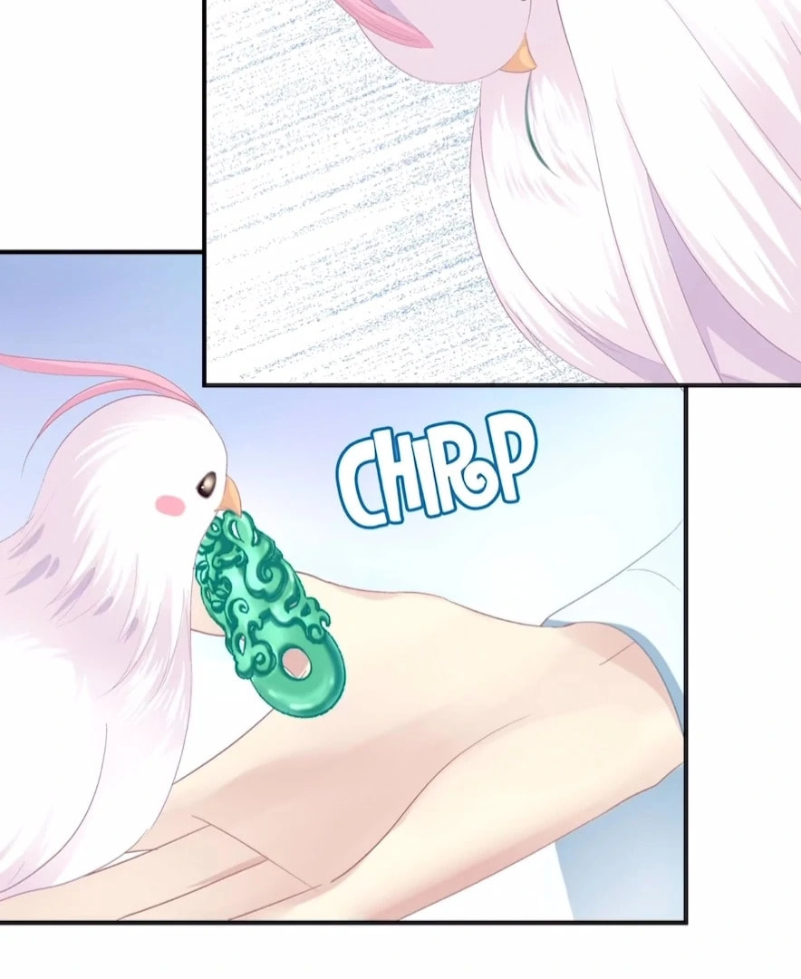 Cat Demon's Seduction (Colored) Chapter 160 page 5 - 