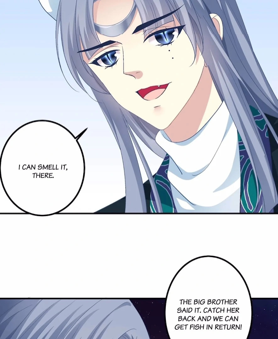 Cat Demon's Seduction (Colored) Chapter 166 page 66 - 