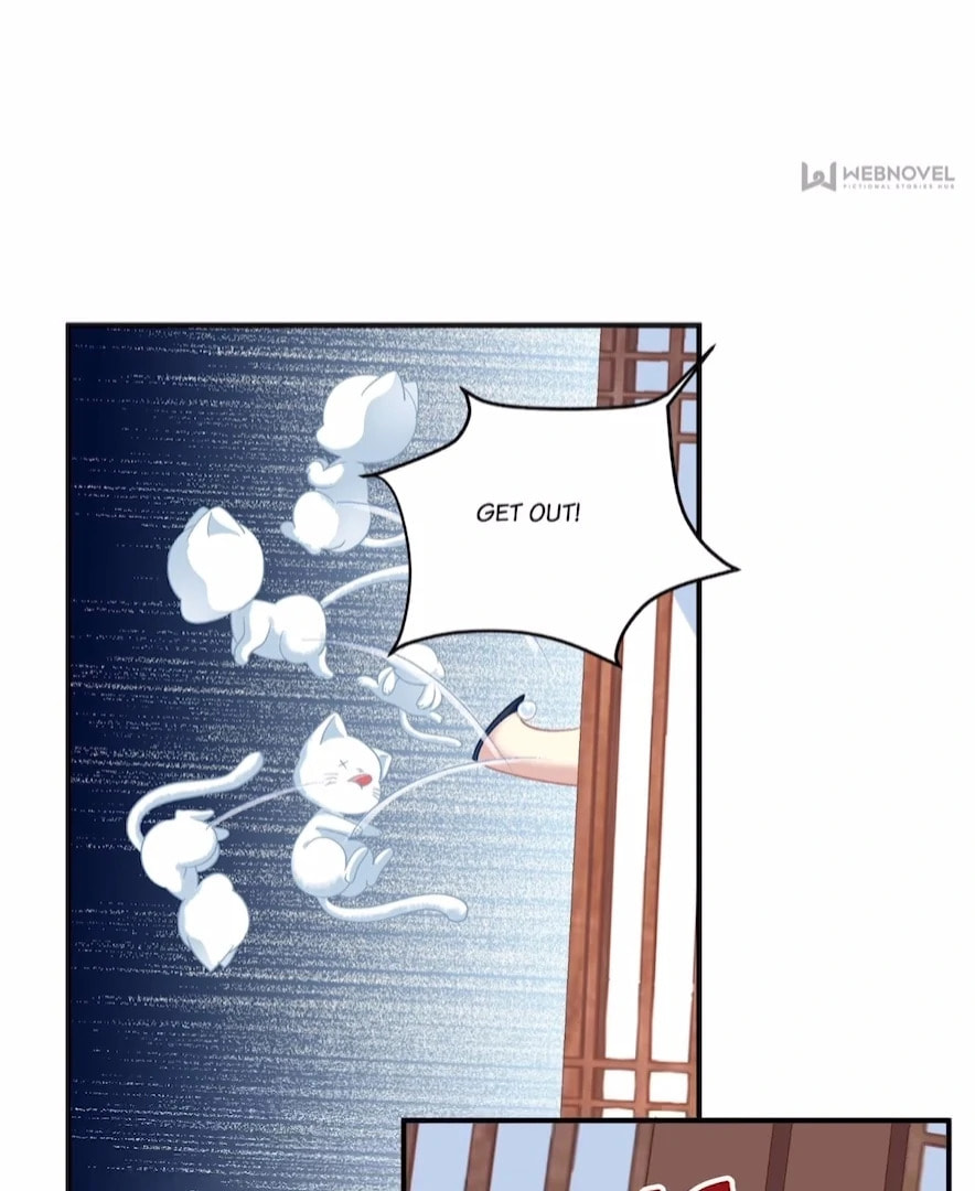 Cat Demon's Seduction (Colored) Chapter 167 page 61 - 