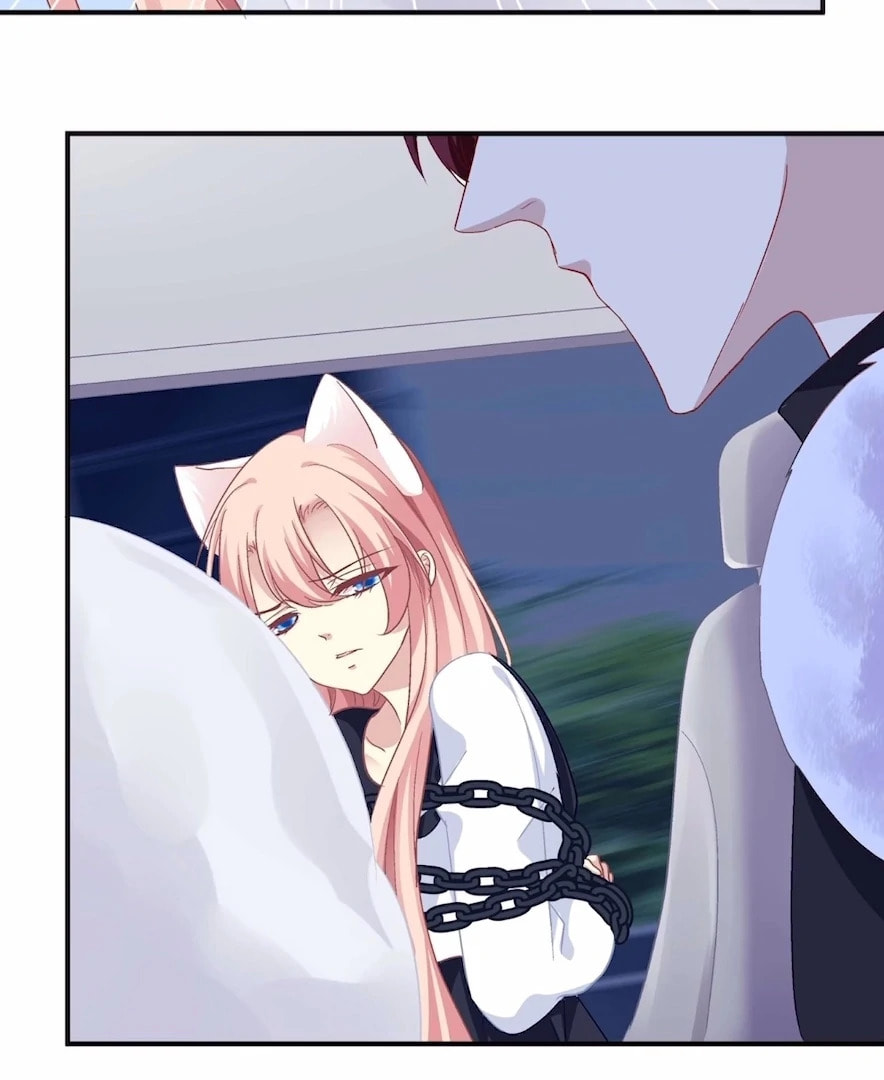 Cat Demon's Seduction (Colored) Chapter 178 page 57 - 