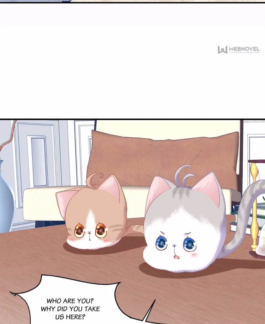 Cat Demon's Seduction (Colored) Chapter 178 page 62 - 