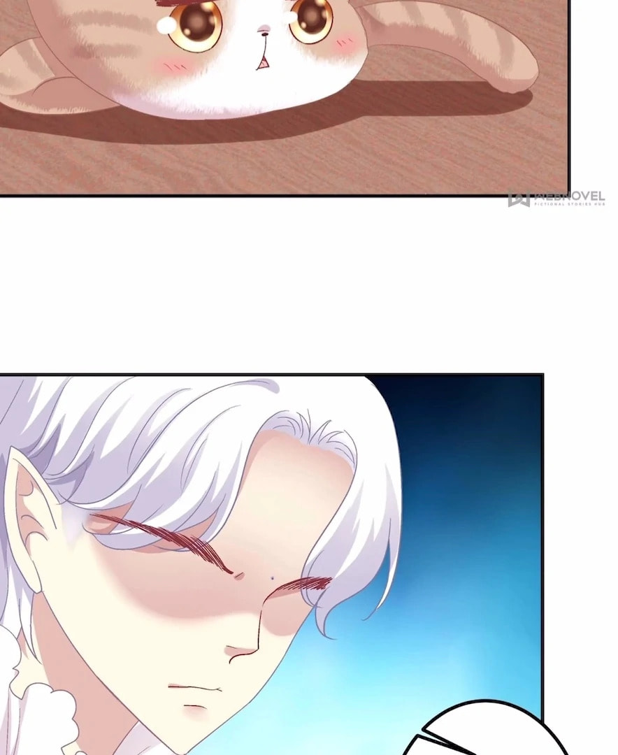 Cat Demon's Seduction (Colored) Chapter 178 page 65 - 