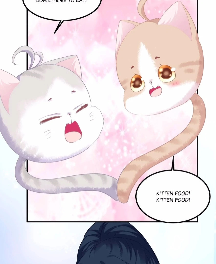Cat Demon's Seduction (Colored) Chapter 178 page 73 - 