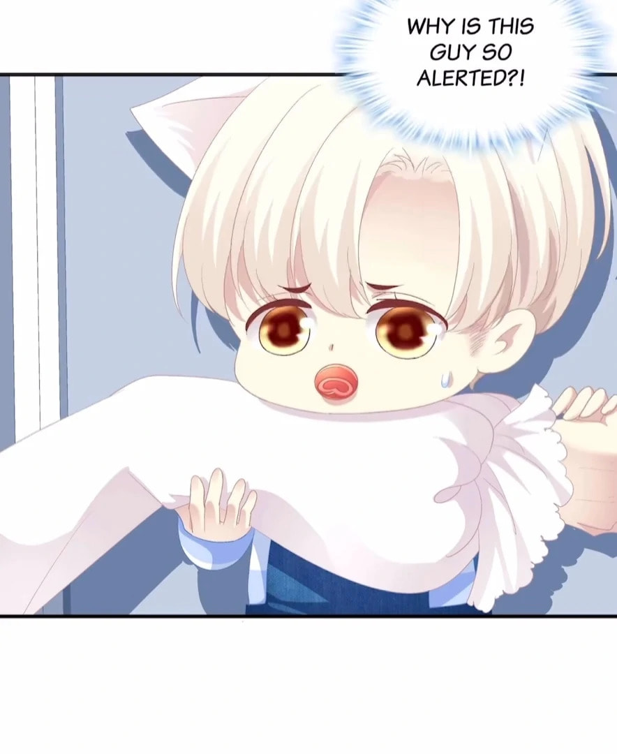 Cat Demon's Seduction (Colored) Chapter 183 page 5 - 