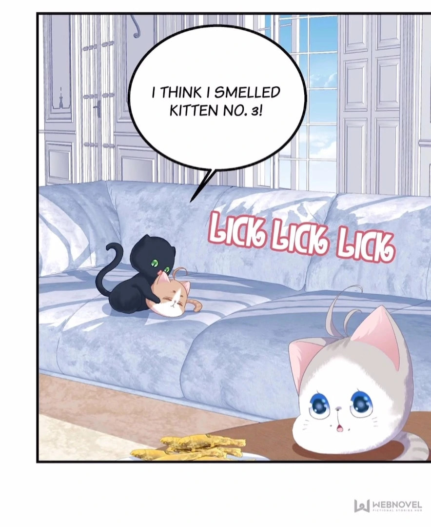 Cat Demon's Seduction (Colored) Chapter 183 page 6 - 