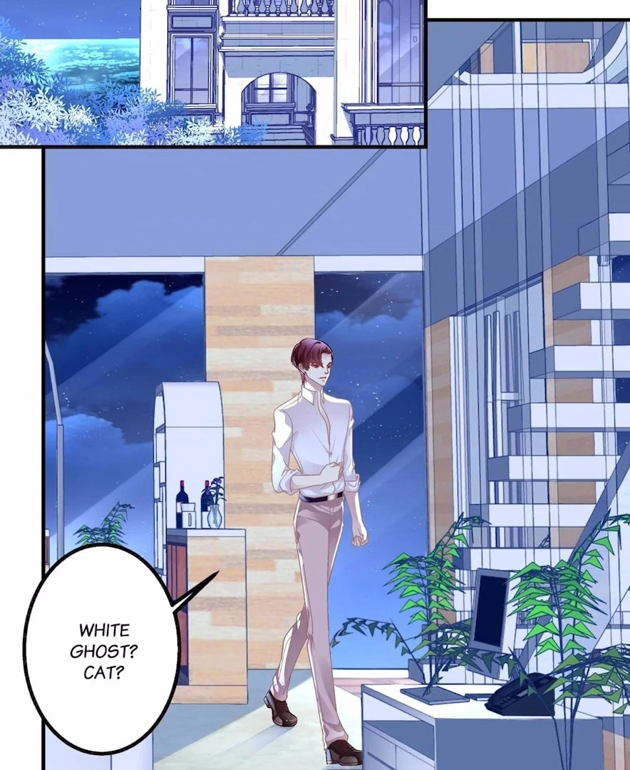 Cat Demon's Seduction (Colored) Chapter 185 page 4 - 