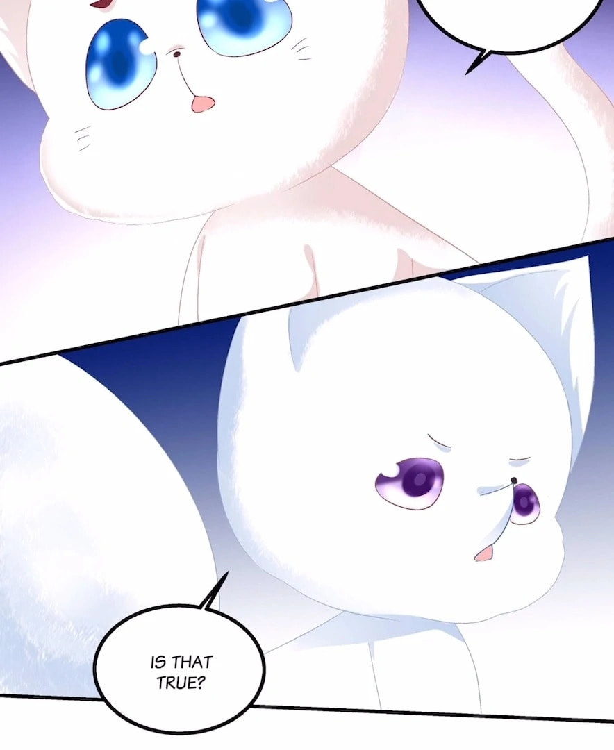 Cat Demon's Seduction (Colored) Chapter 187 page 77 - 