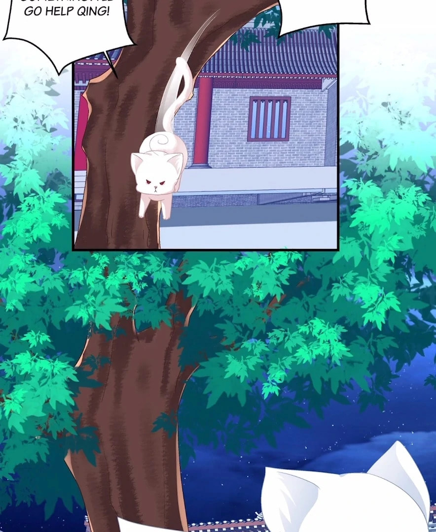 Cat Demon's Seduction (Colored) Chapter 187 page 87 - 