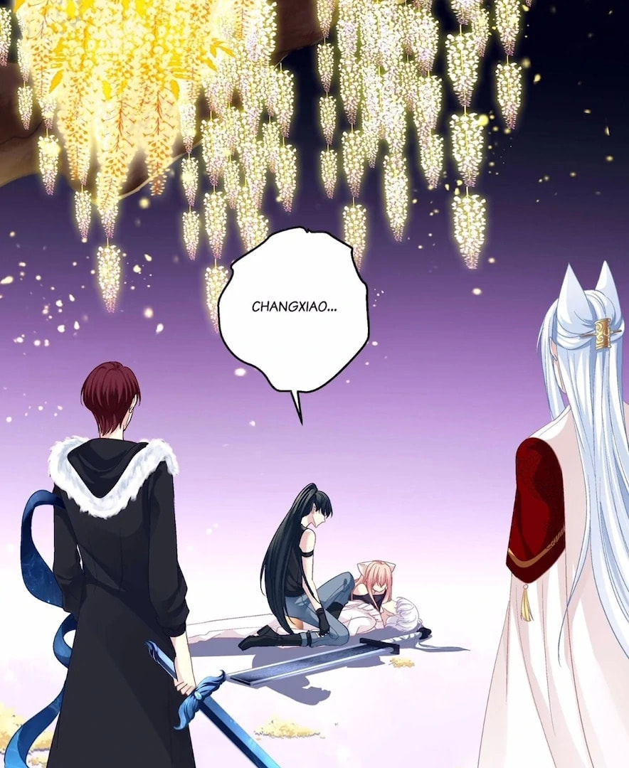 Cat Demon's Seduction (Colored) Chapter 191 page 3 - 