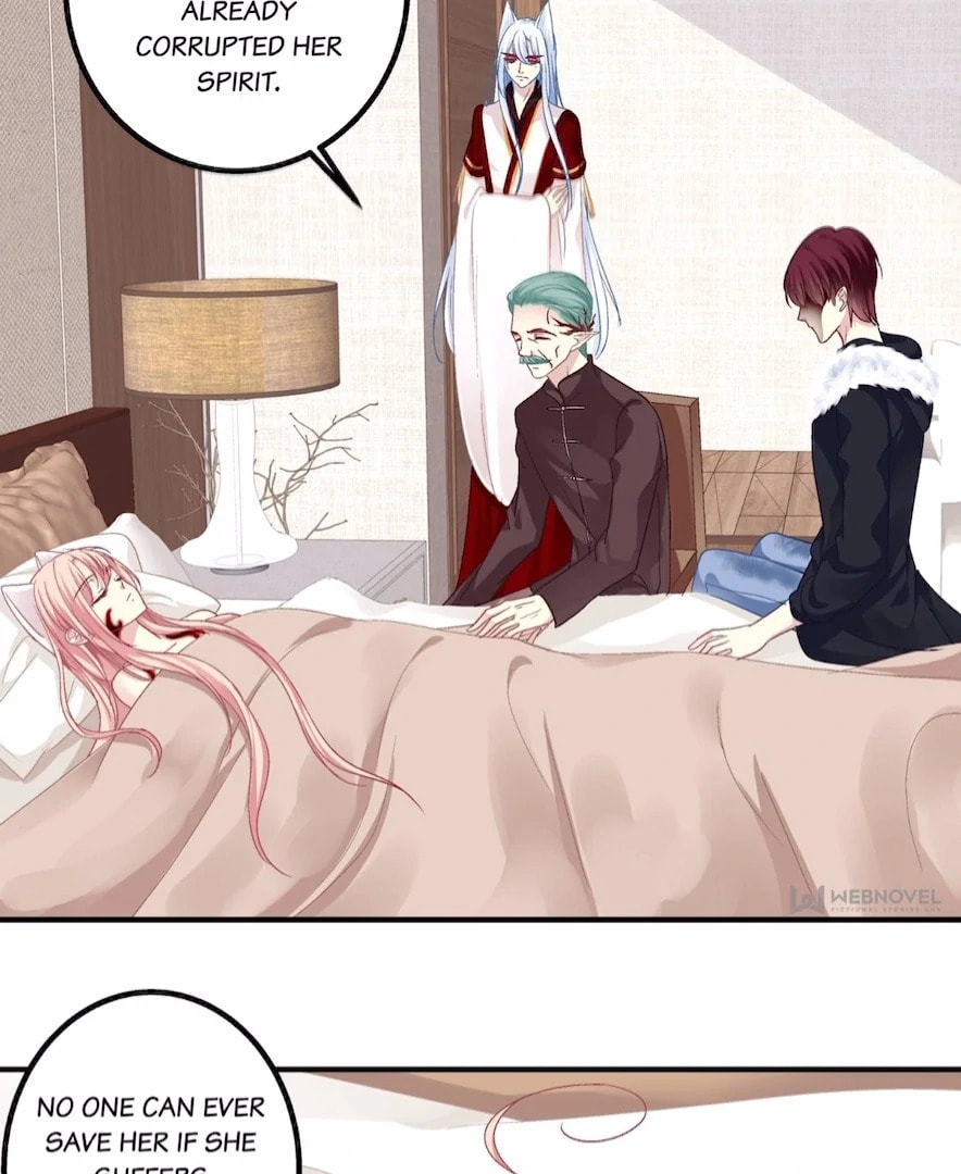 Cat Demon's Seduction (Colored) Chapter 191 page 41 - 