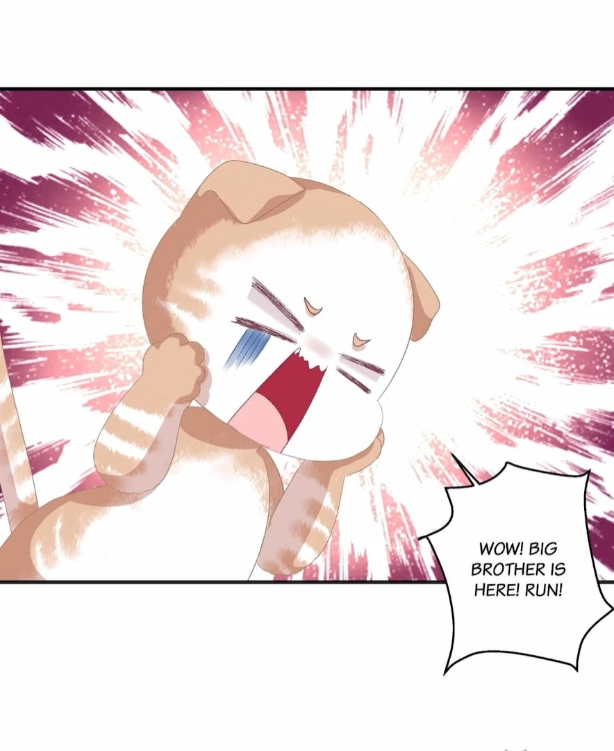 Cat Demon's Seduction (Colored) Chapter 192 page 35 - 