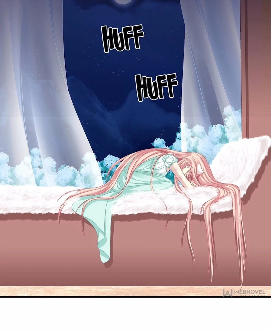 Cat Demon's Seduction (Colored) Chapter 195 page 6 - 