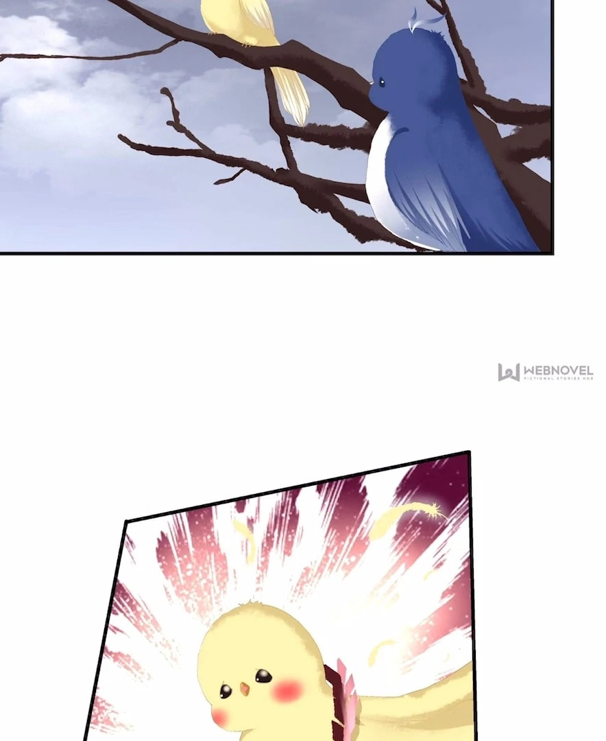 Cat Demon's Seduction (Colored) Chapter 195 page 73 - 