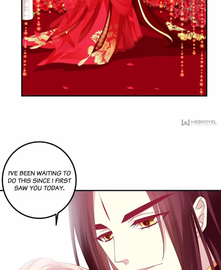 Cat Demon's Seduction (Colored) Chapter 198 page 5 - 