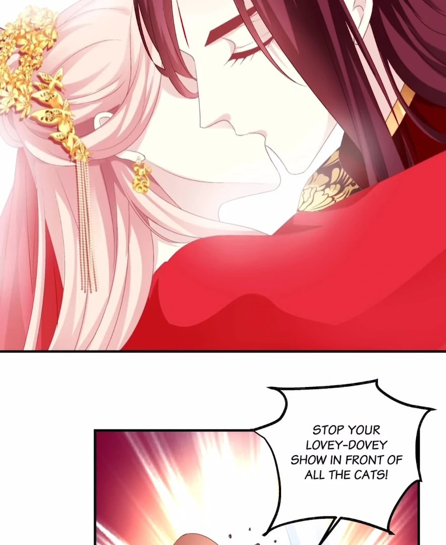 Cat Demon's Seduction (Colored) Chapter 198 page 9 - 