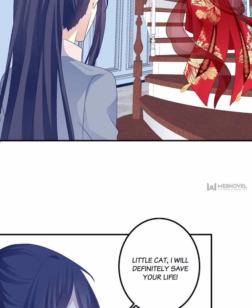 Cat Demon's Seduction (Colored) Chapter 199 page 69 - 