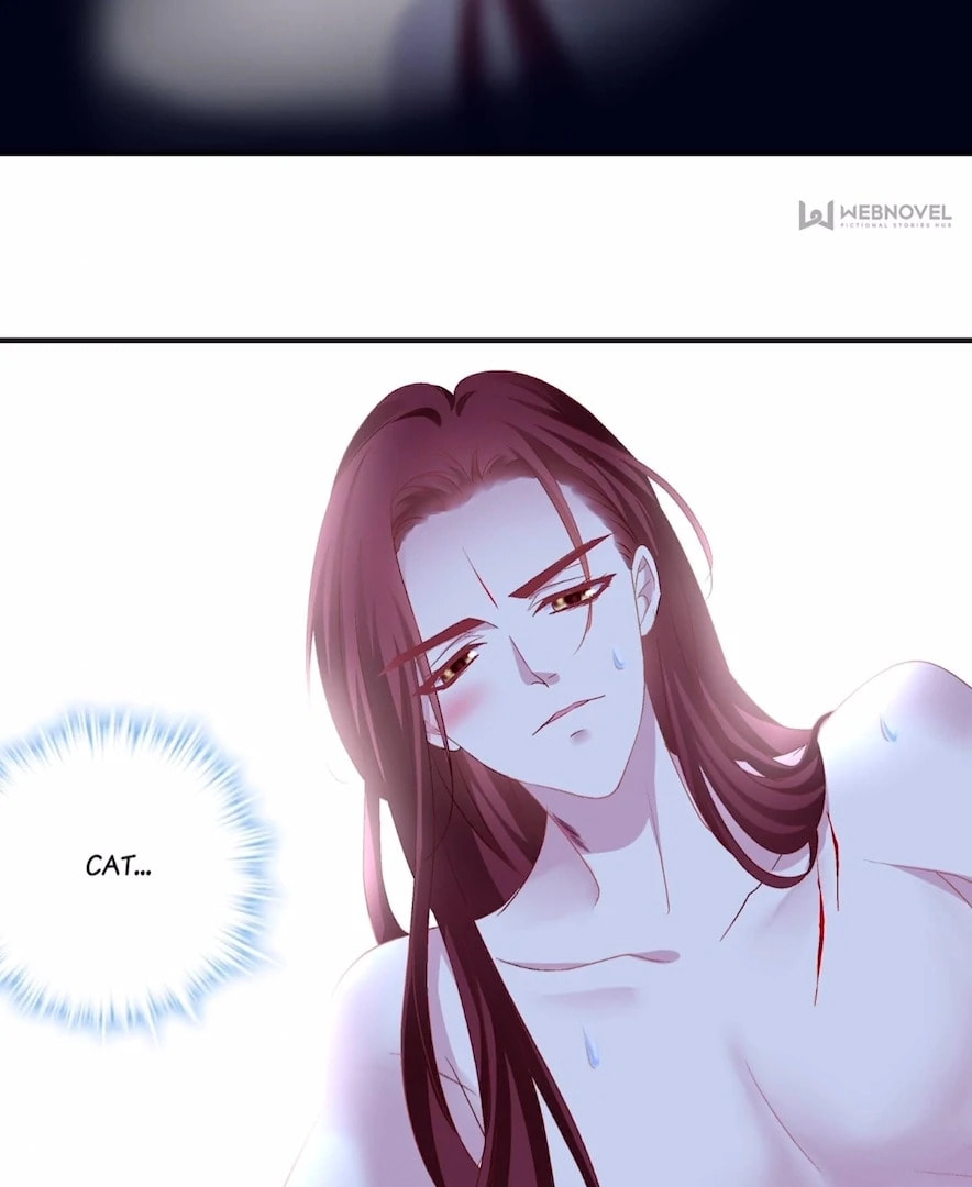 Cat Demon's Seduction (Colored) Chapter 200 page 17 - 