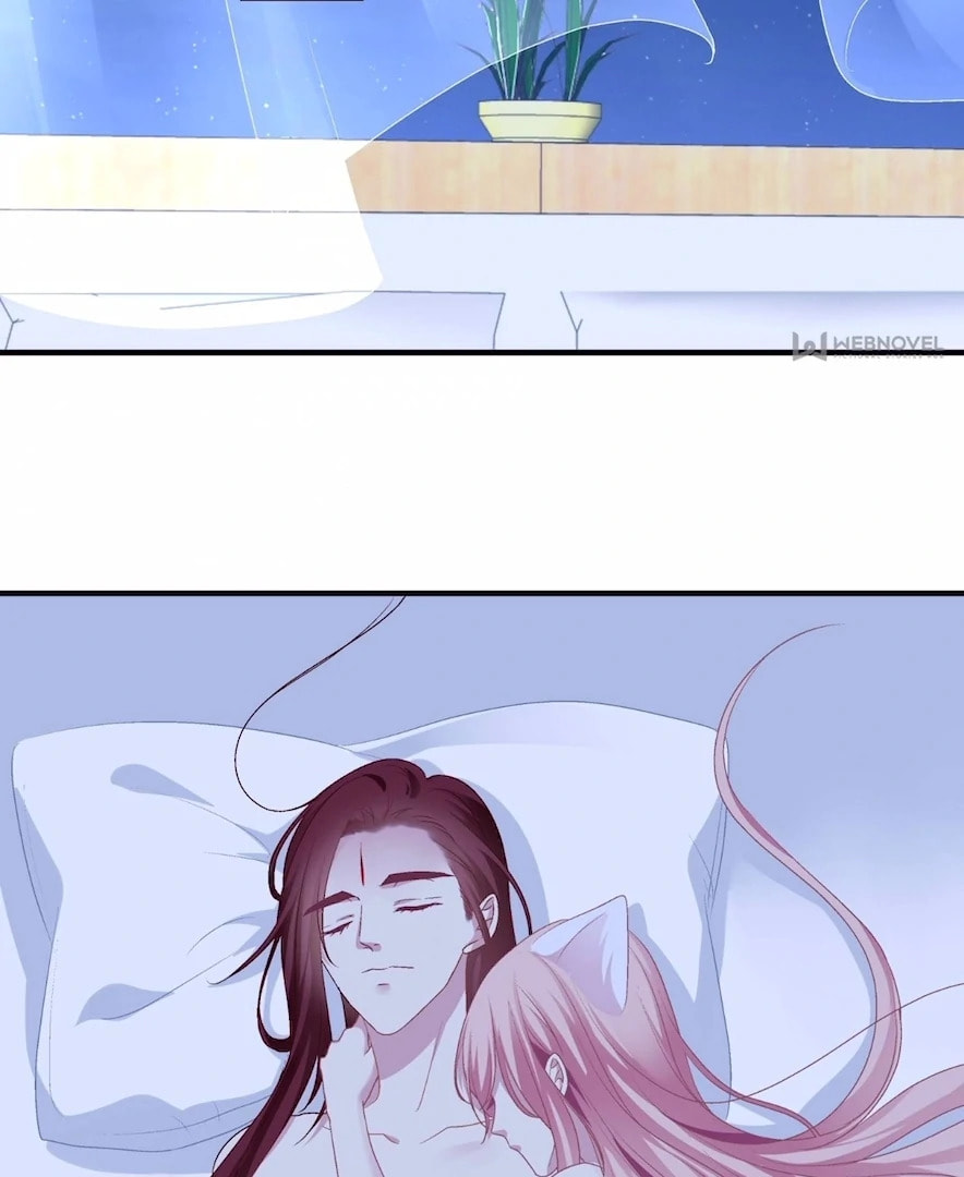 Cat Demon's Seduction (Colored) Chapter 200 page 22 - 