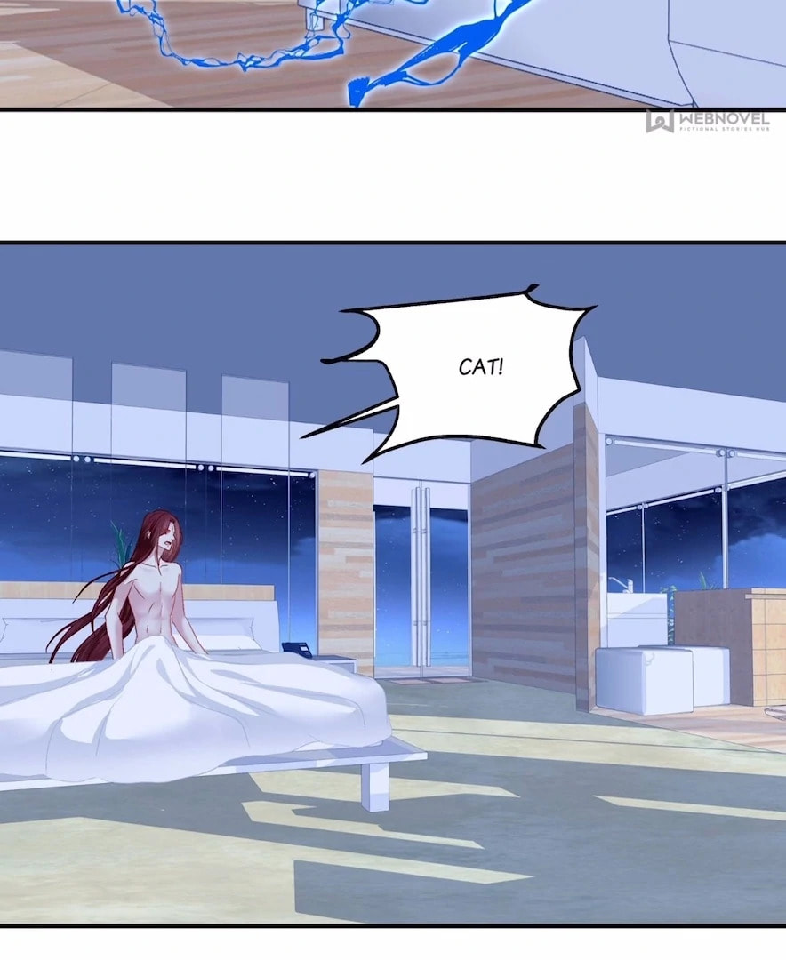 Cat Demon's Seduction (Colored) Chapter 200 page 47 - 