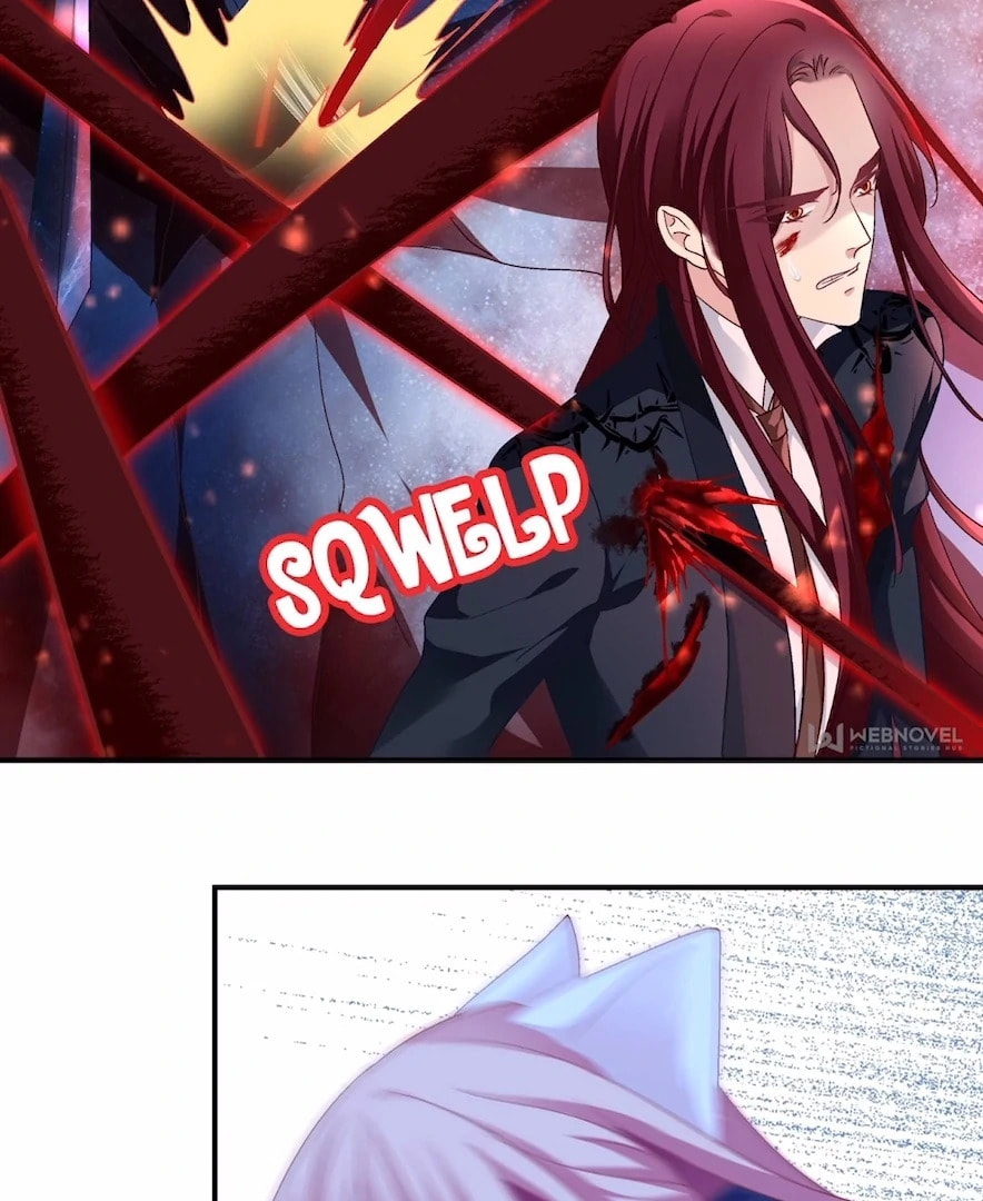 Cat Demon's Seduction (Colored) Chapter 201 page 66 - 