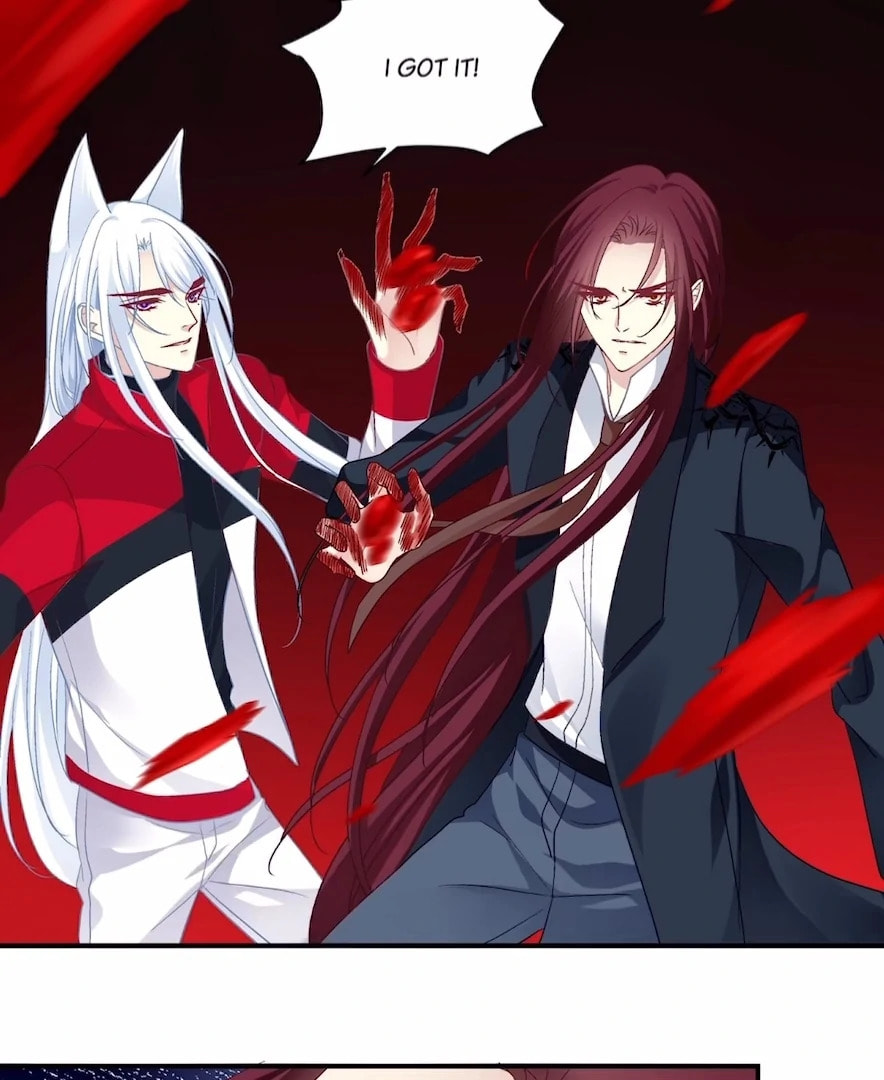 Cat Demon's Seduction (Colored) Chapter 201 page 78 - 
