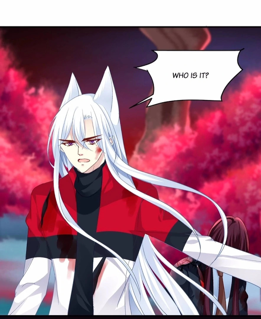 Cat Demon's Seduction (Colored) Chapter 202 page 64 - 