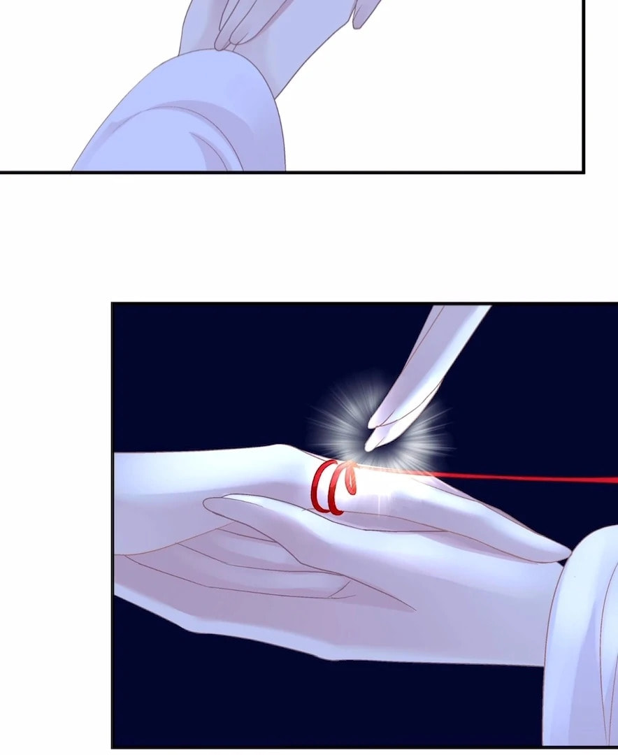 Cat Demon's Seduction (Colored) Chapter 202 page 72 - 