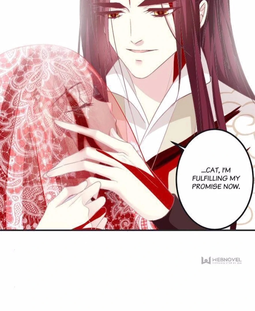 Cat Demon's Seduction (Colored) Chapter 203 page 13 - 