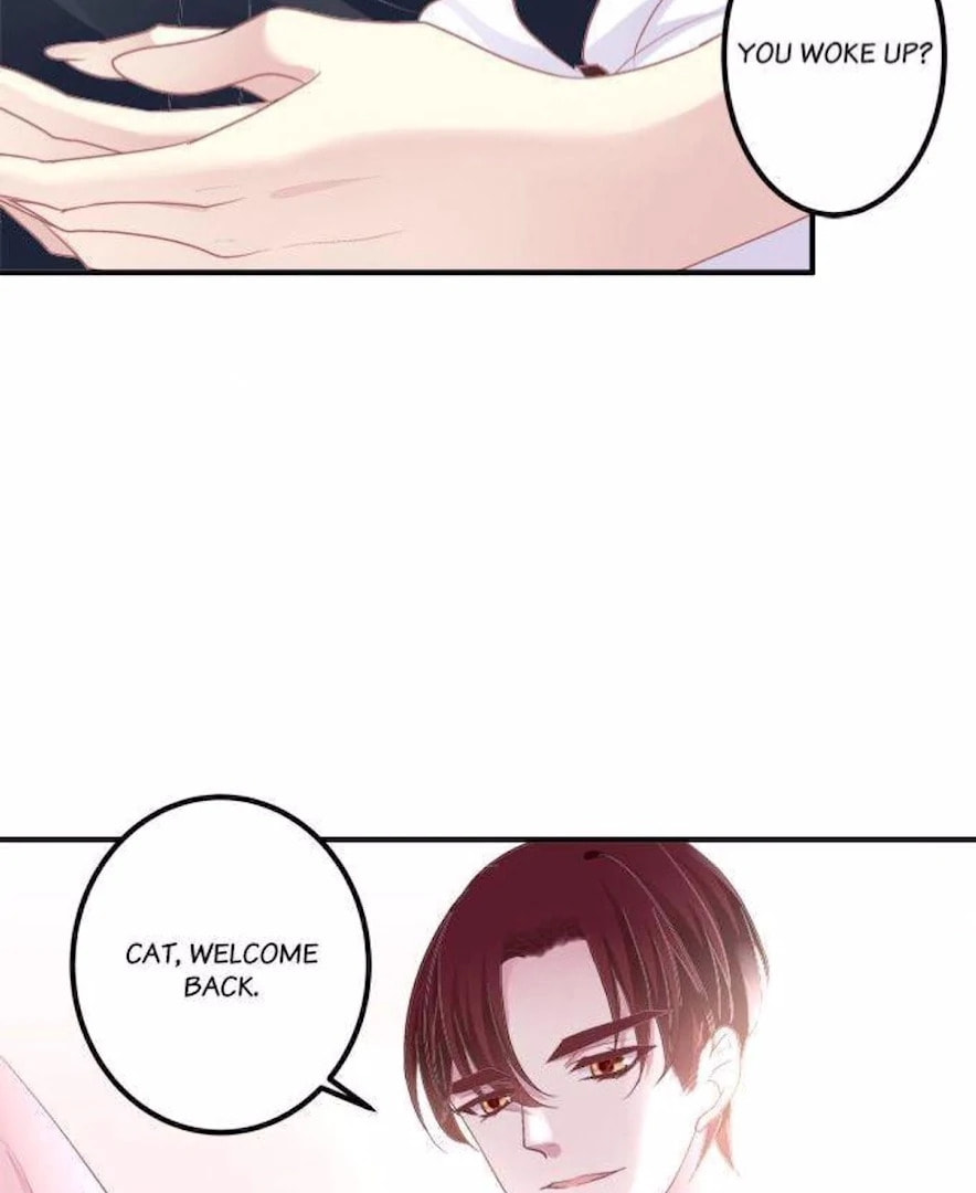 Cat Demon's Seduction (Colored) Chapter 204 page 100 - 
