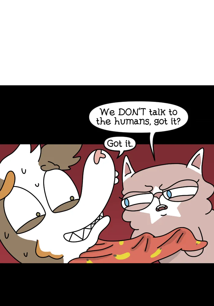 Cat Got Your Tongue Chapter 4 page 33 - 
