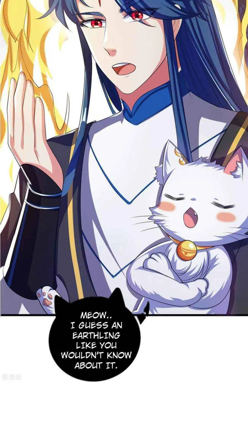 Cat System The Emperor is a Cat Lover Chapter 27 page 11 - 