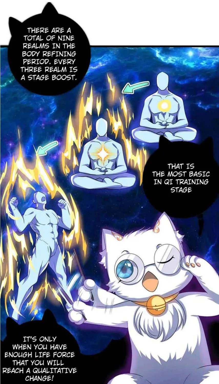 Cat System The Emperor is a Cat Lover Chapter 27 page 12 - 