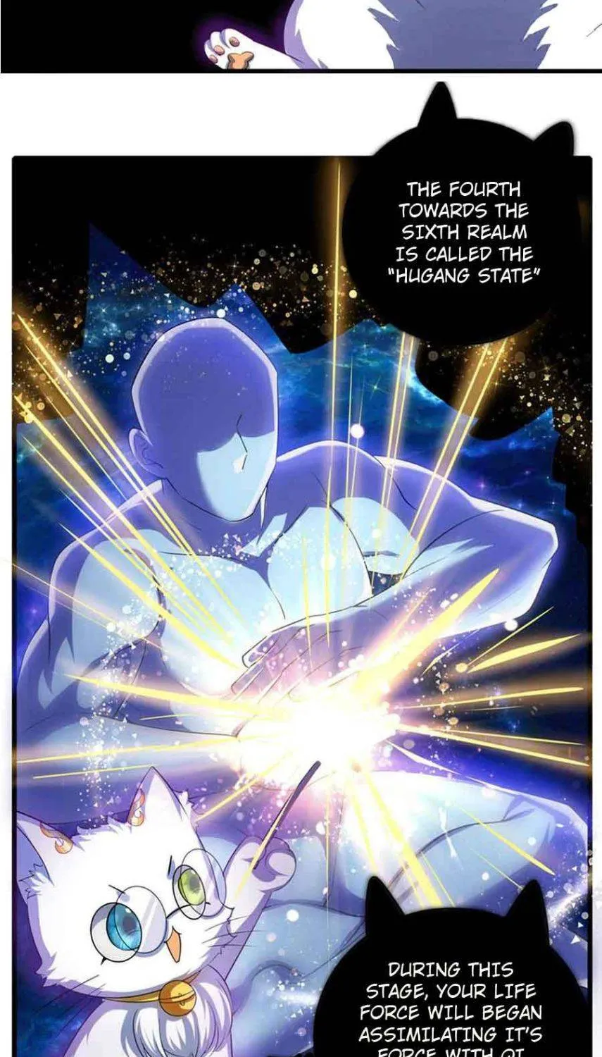 Cat System The Emperor is a Cat Lover Chapter 27 page 13 - 